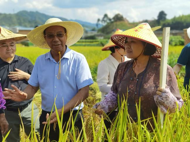 谢华安：稻田里的“追梦者”